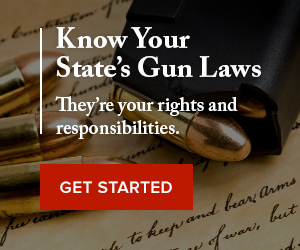 State Gun Laws